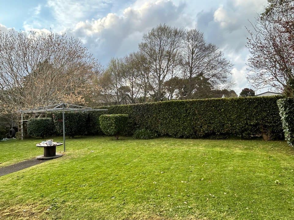 Tree pruning Auckland