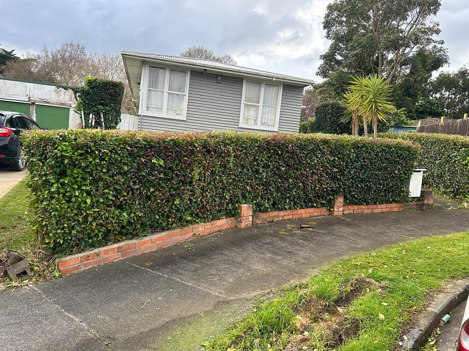 Garden pruning Auckland