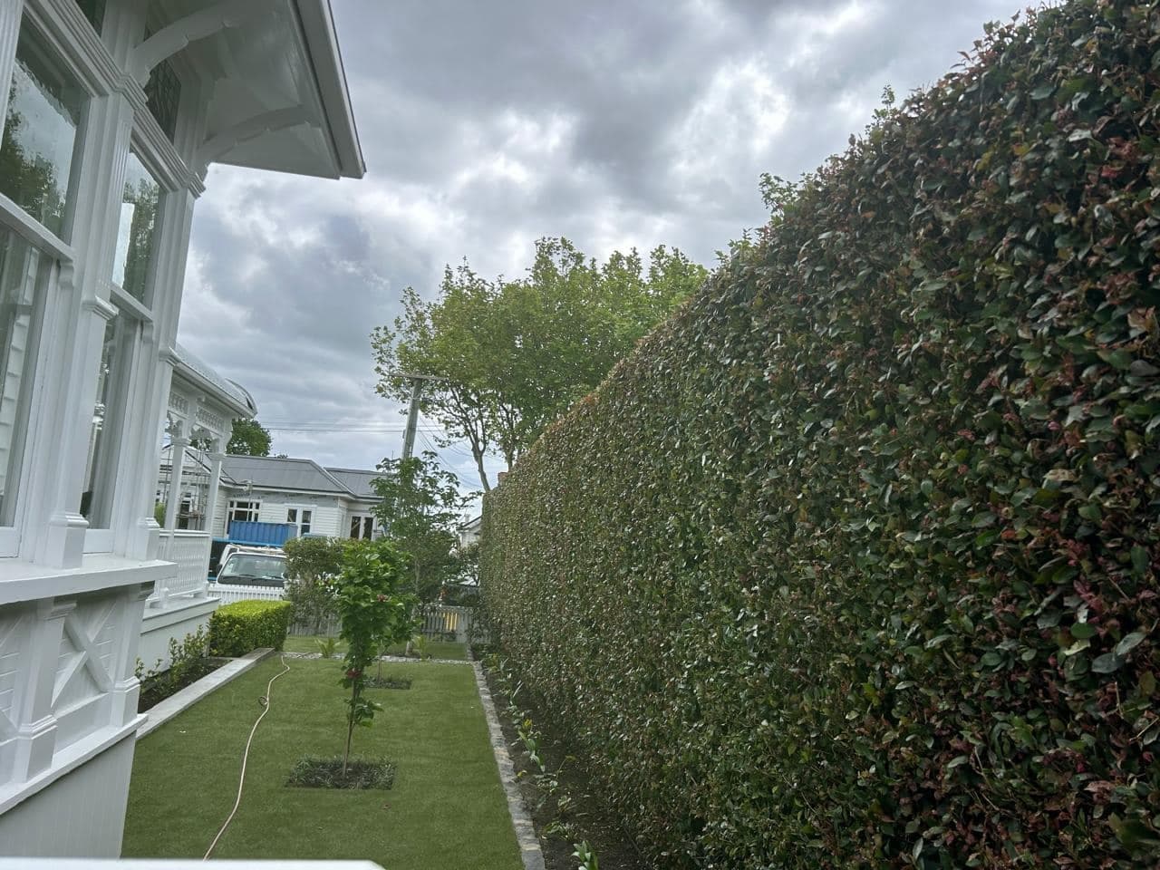 Hedge maintenance