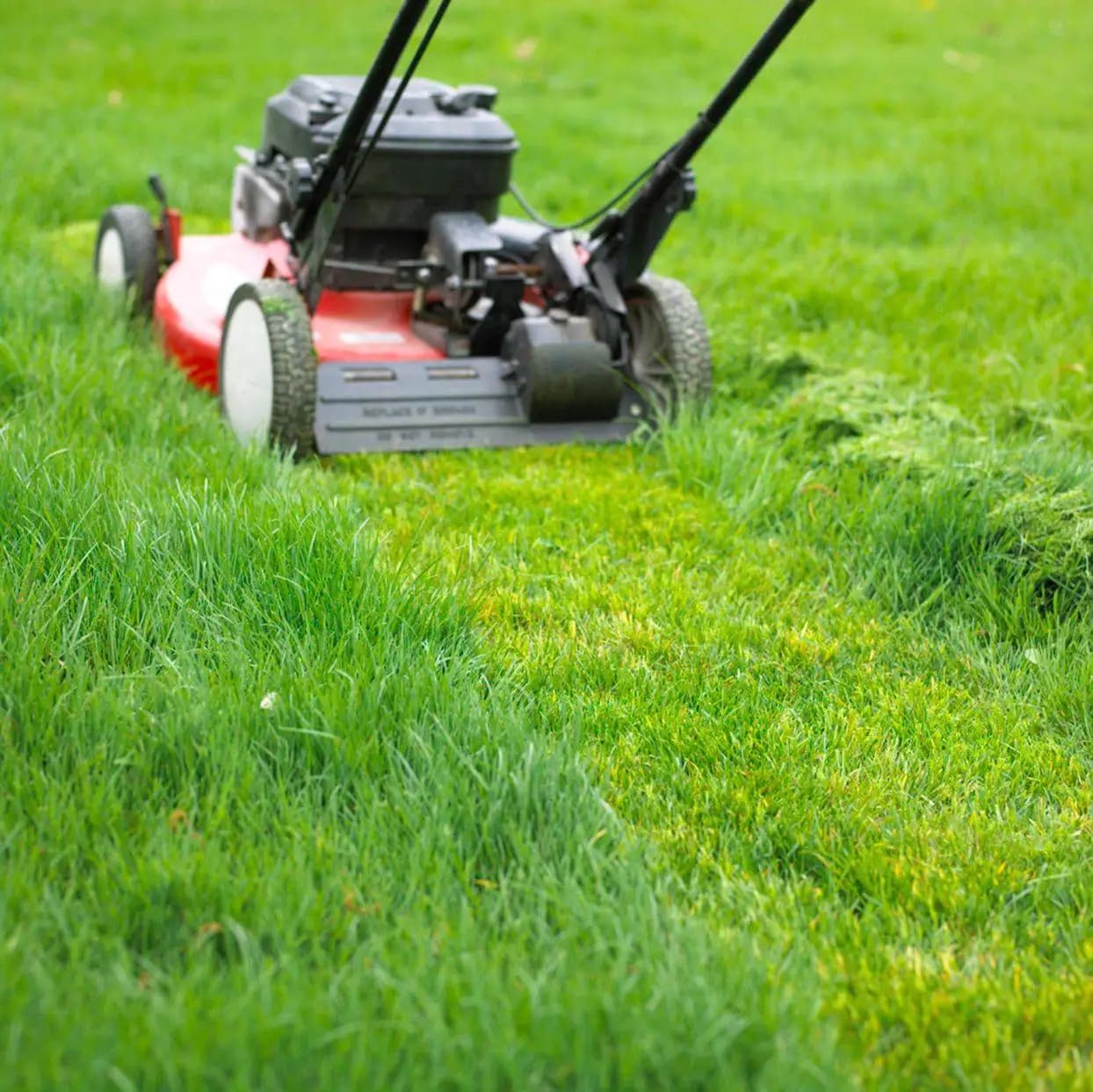 Professional lawn mowing