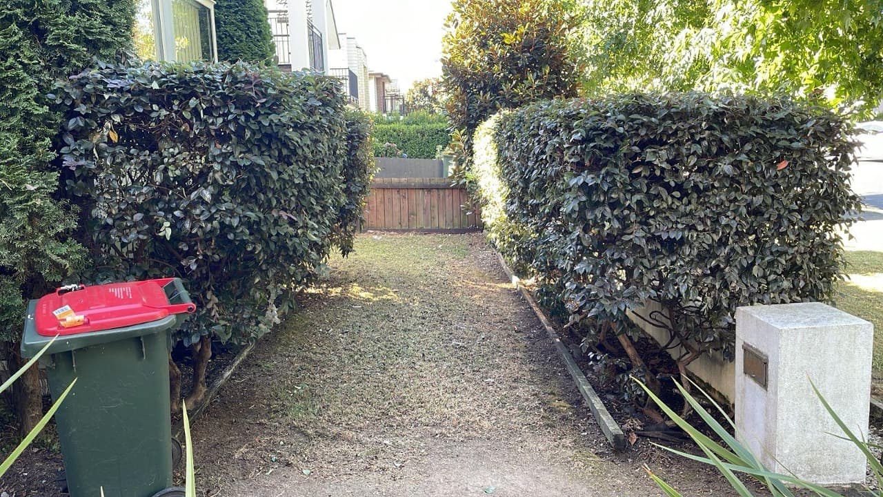 Garden design Auckland