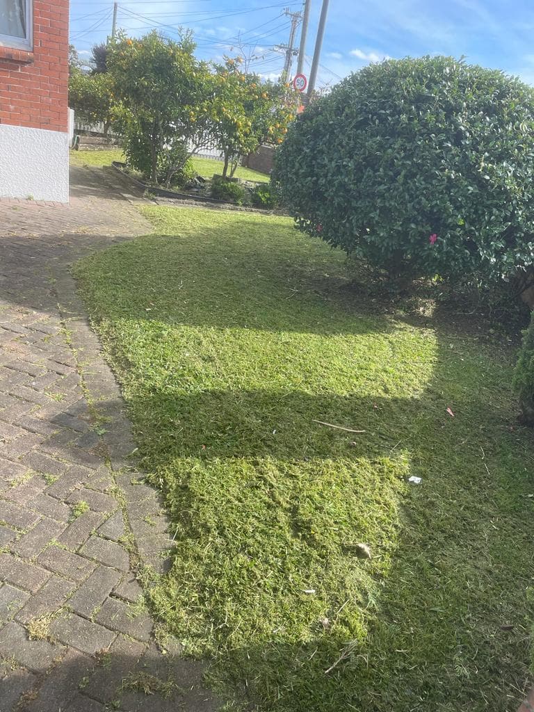 Waste removal Auckland