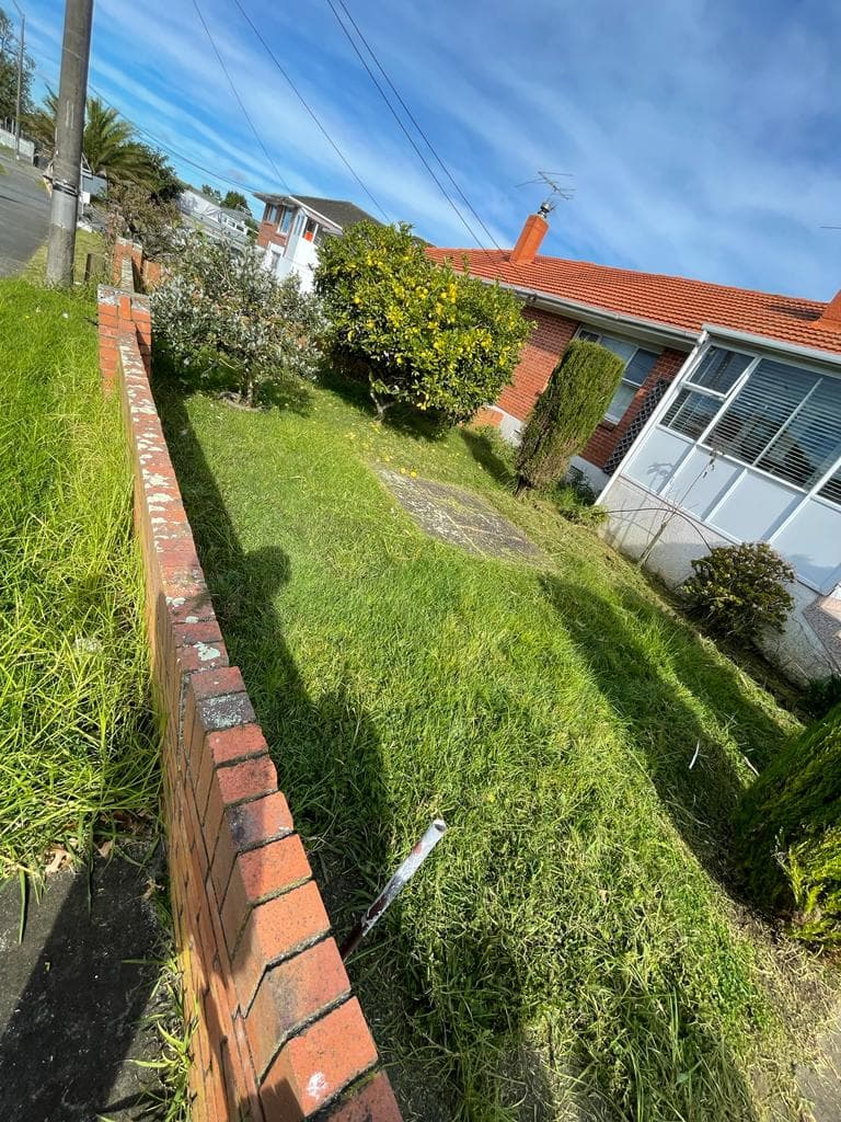 Full property cleanup